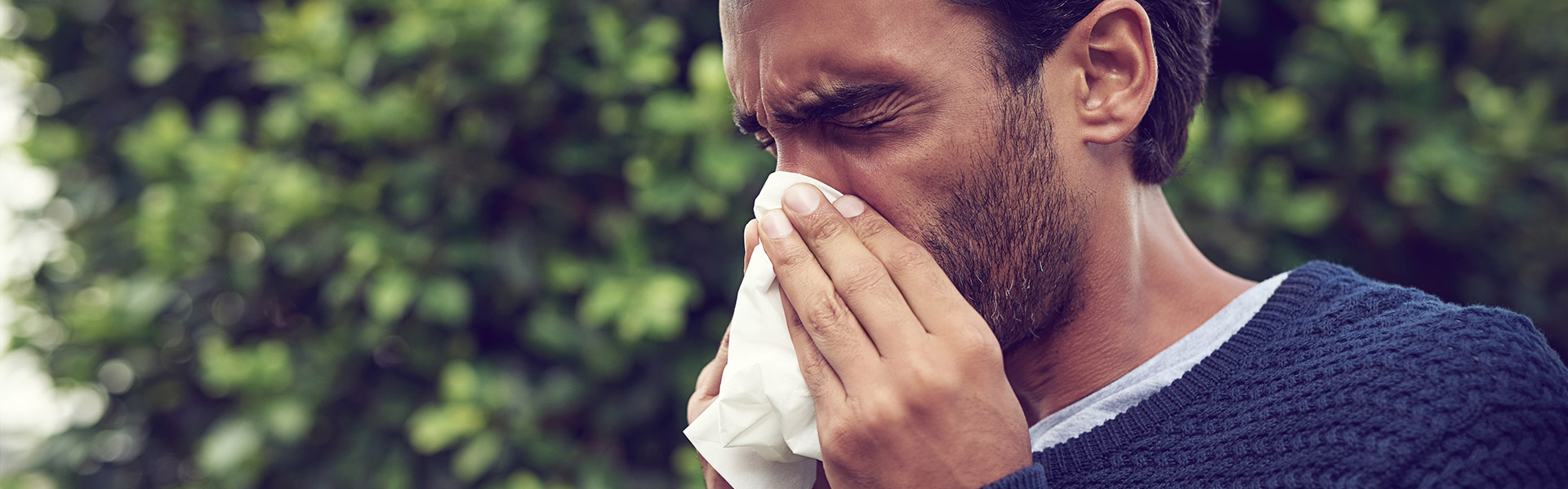 Houston Allergy & Asthma Clinic Allergy & ENT Associates