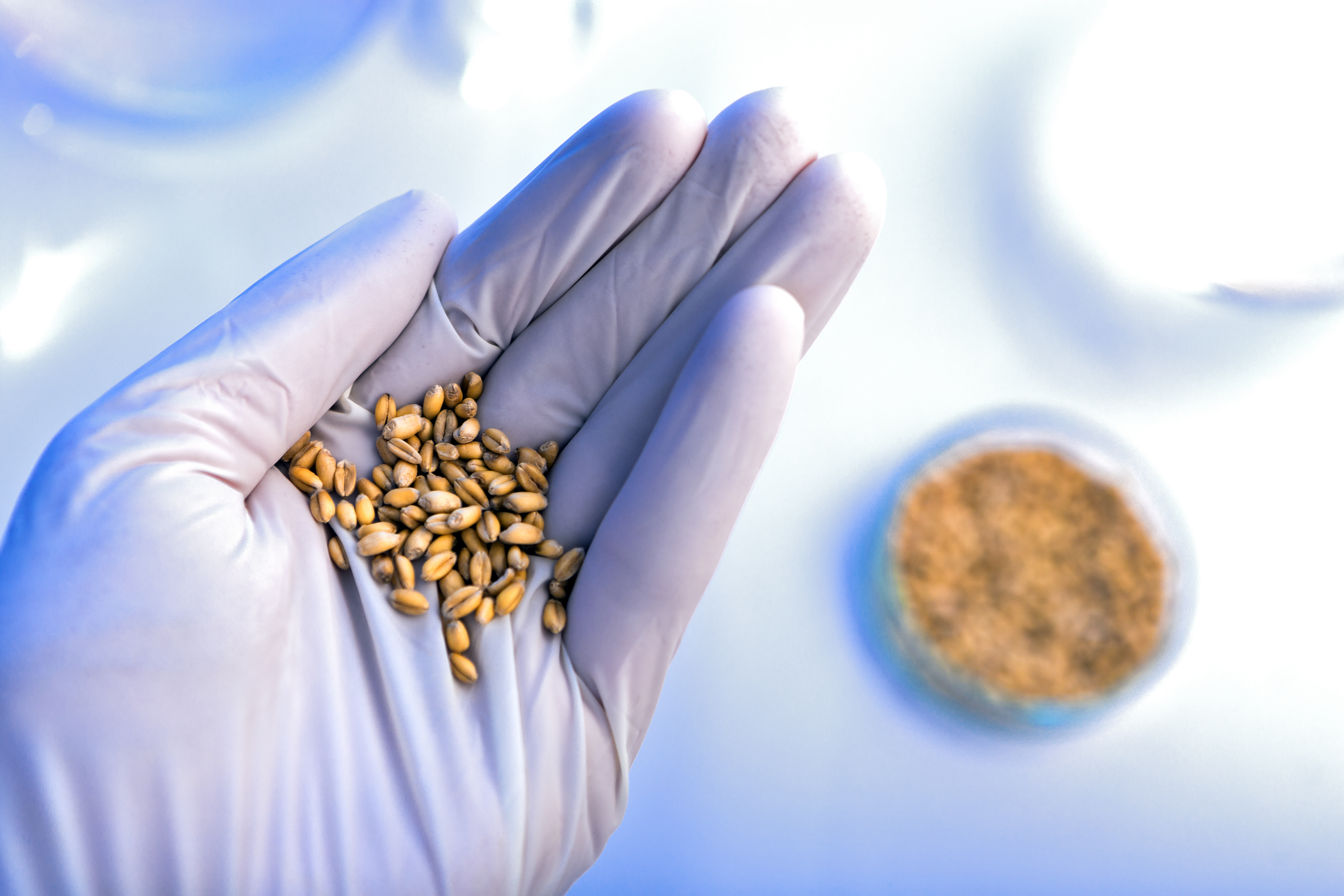 Oral Immunotherapy Houston Oral Immunotherapy Houston