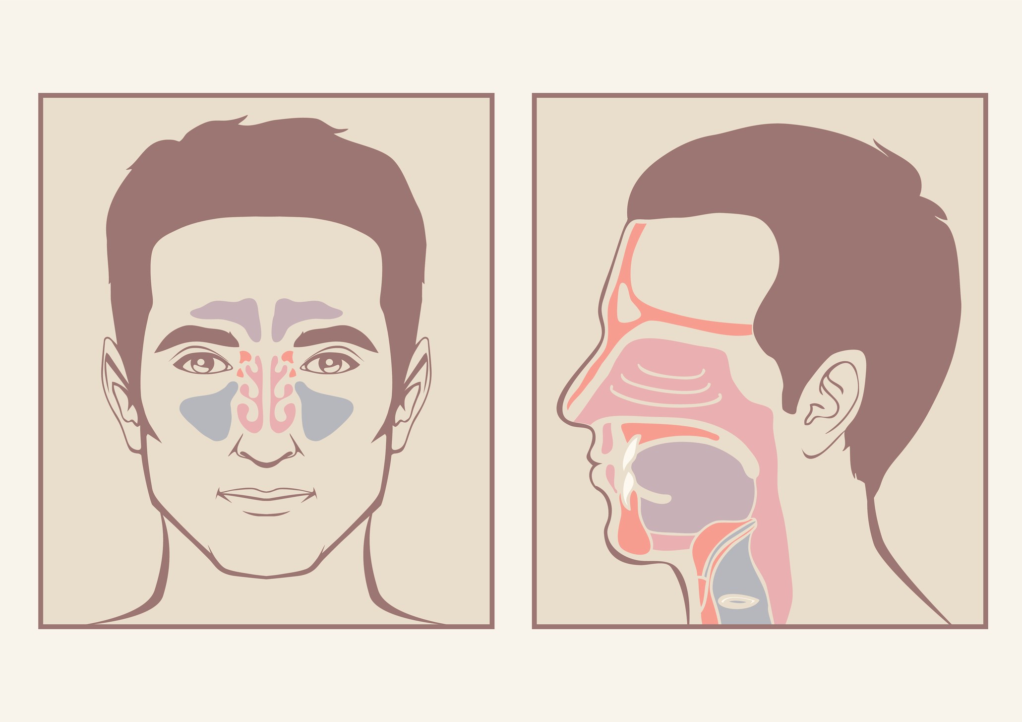 Signs Your Cold Has Turned into a Sinus Infection