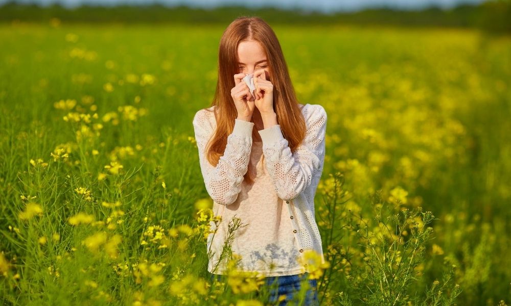 Common Signs You Have Seasonal Allergies