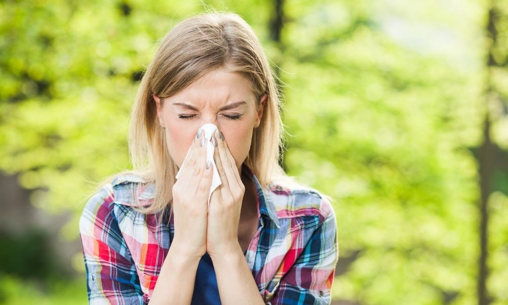 Top 5 Questions About Allergies