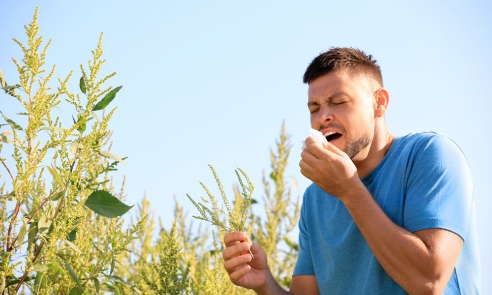 A Brief Overview of Texas Seasonal Allergies