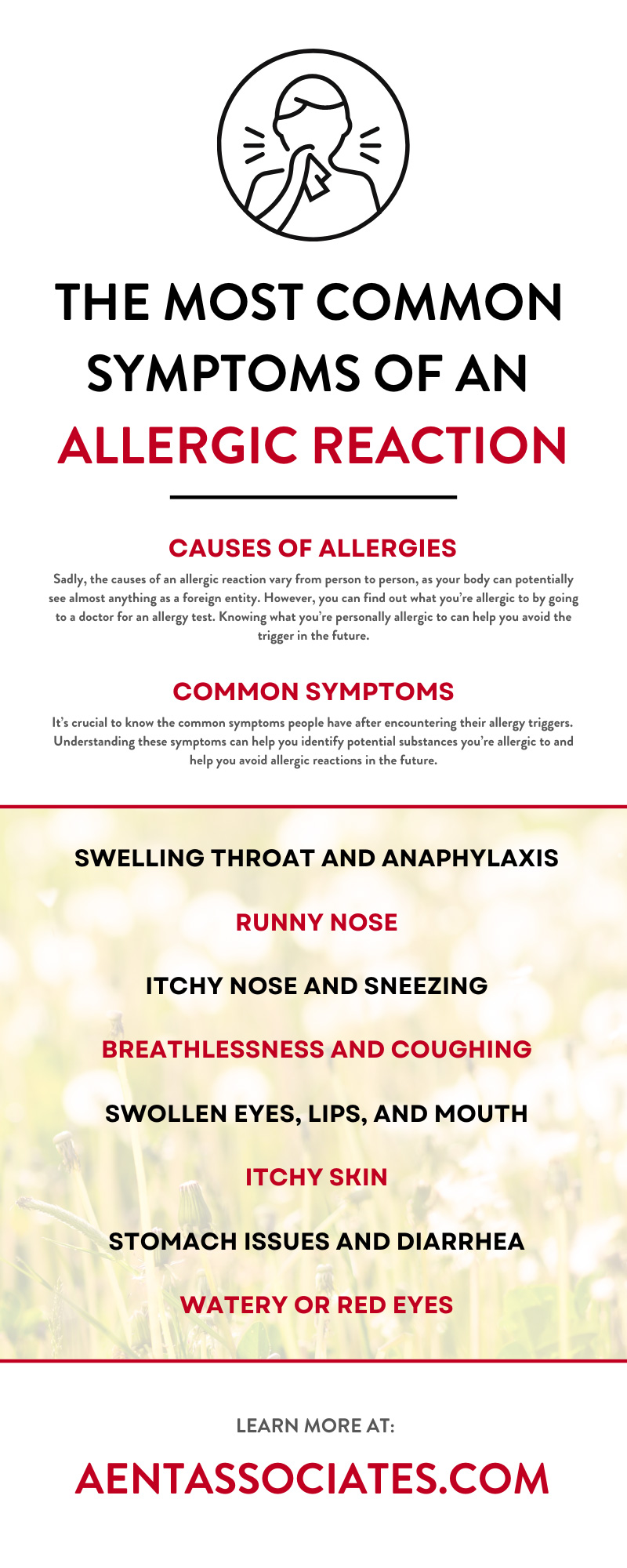The Most Common Symptoms of an Allergic Reaction 