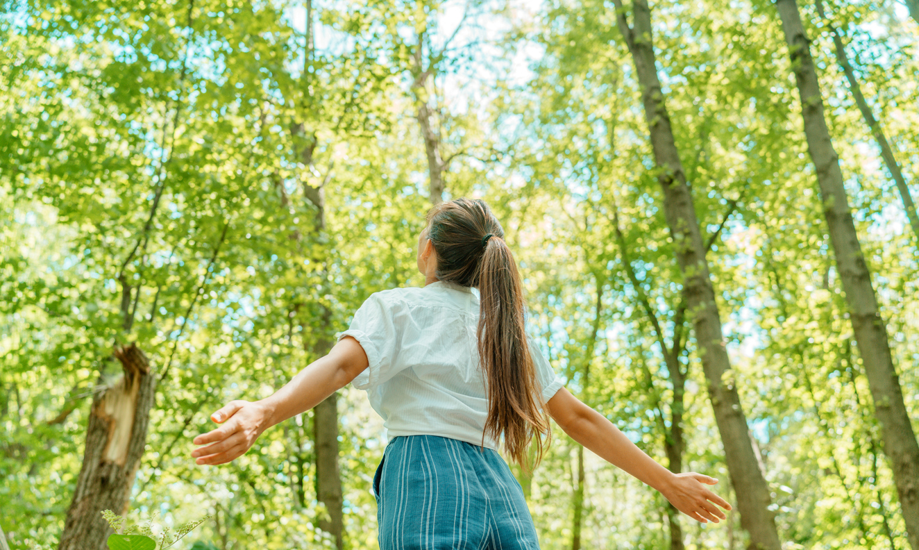 Pollen from Plants and Grasses causing allergies