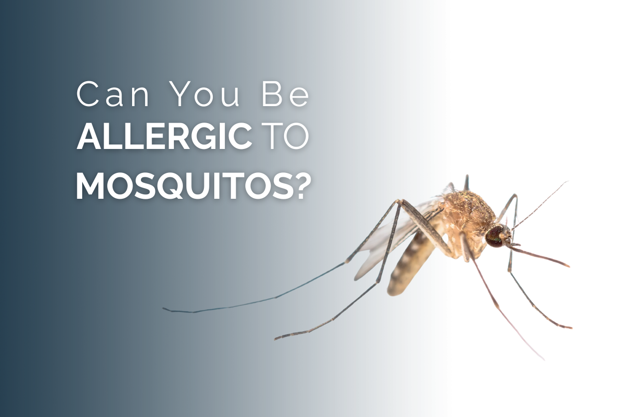 can you be allergic to mosquitos